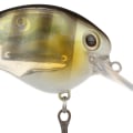 Spinning Tackle and Lures: A Comprehensive Overview