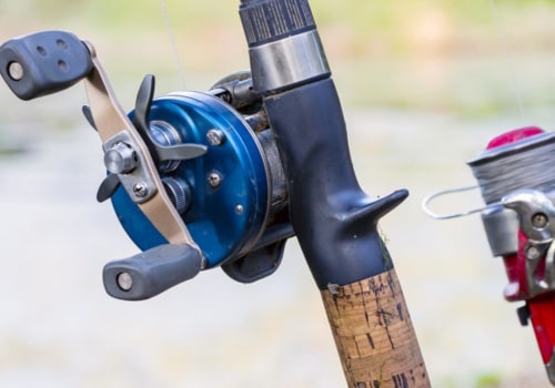 Spinning Rods and Reels: The Basics