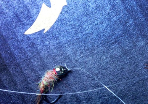 Fly Lines and Tippets: Understanding the Basics
