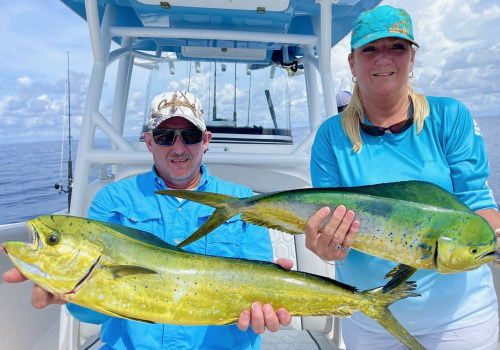 Everything You Need to Know About Mahi-mahi Fishing in South Padre Island TX