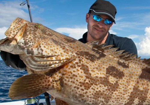 Offshore Fishing Charters: What You Need to Know